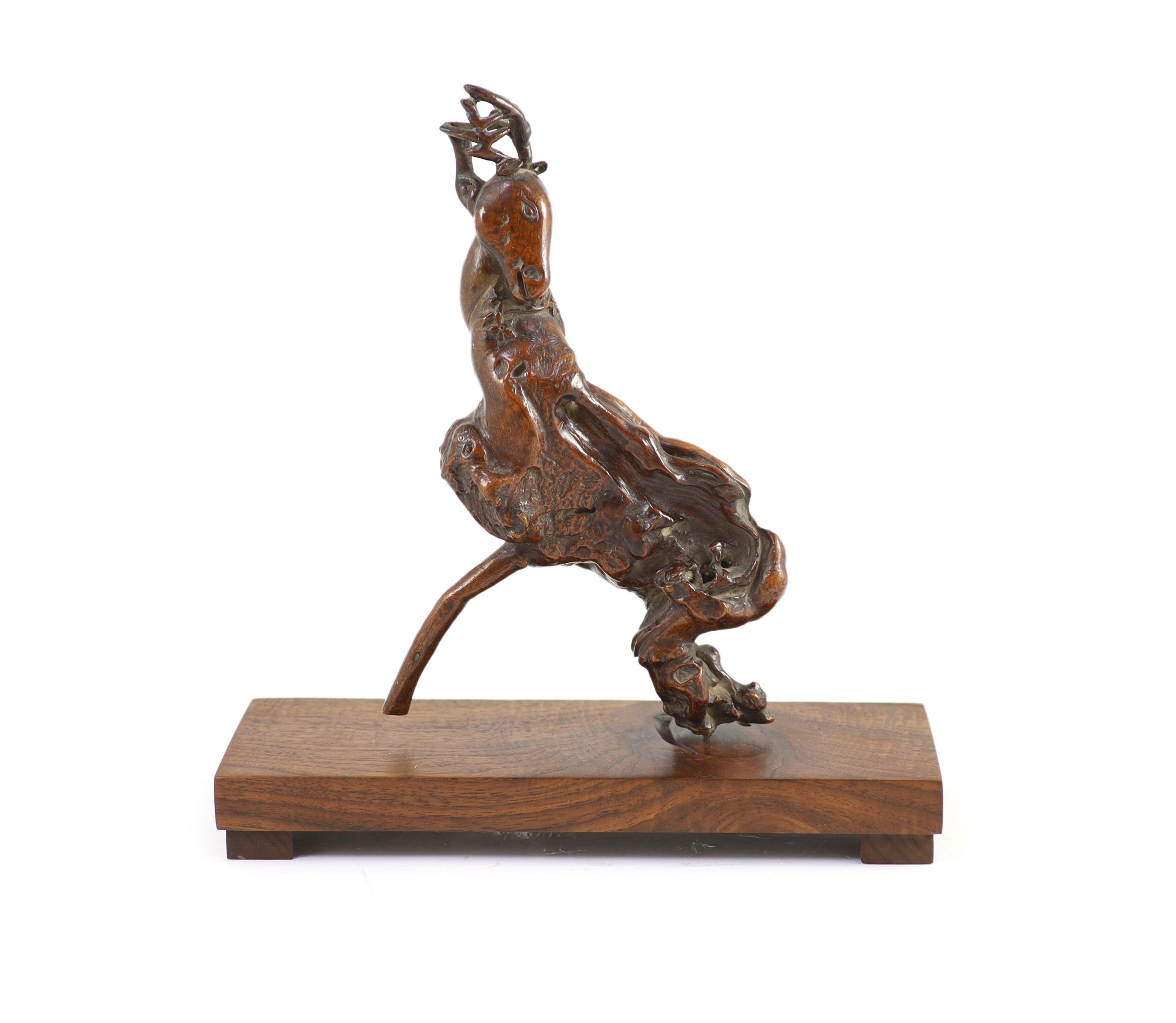 A Chinese scholar's rootwood carving of a deer, 18th century, 25cm high, later wood stand